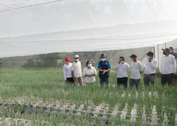 Kawasan Industri Jababeka Sediakan Lahan Seluas 2 Hektar Cetak Petani Milenial