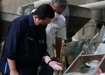 Erick Thohir Dorong BRI Dukung Produksi Padi Model Bisnis Klaster dan Teknologi Modern