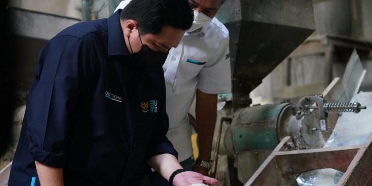 Erick Thohir Dorong BRI Dukung Produksi Padi Model Bisnis Klaster dan Teknologi Modern