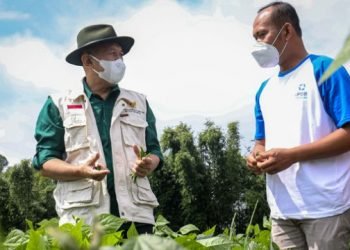 MenkopUKM Bakal Perkuat Model Sektor Pertanian Pangan Masuk Skala Ekonomi