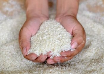 Bos Bulog Angkat Bicara Soal Beras Tak Layak yang Diterima Masyarakat