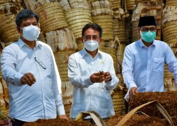 Dongkrak Kesejahteraan Petani, Kemenperin Pacu Serapan Tembakau untuk Bahan Baku Industri