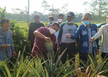 KemenkopUKM Bangun Koperasi Modern Produk Pertanian Berorientasi Ekspor di Subang