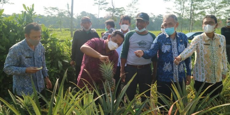KemenkopUKM Bangun Koperasi Modern Produk Pertanian Berorientasi Ekspor di Subang
