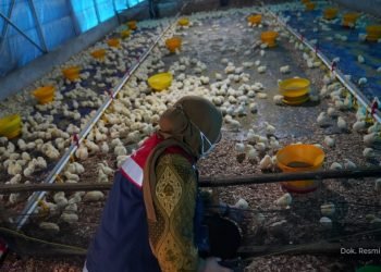 Luar Biasa! Hutama Karya Sukses Ciptakan Calon Mitra Binaan Beromzet Puluhan Juta Rupiah Lewat Program Mandiri Pangan