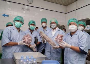 Dukung Nelayan Naik Kelas, BUMN Klaster Pangan Lakukan Ekspor Perdana Gurita ke Amerika Serikat