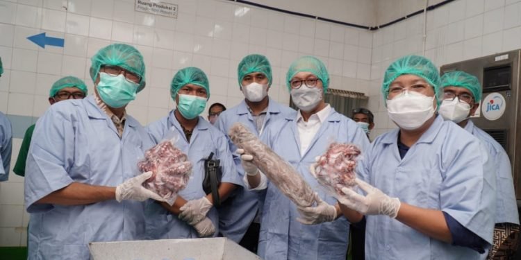 Dukung Nelayan Naik Kelas, BUMN Klaster Pangan Lakukan Ekspor Perdana Gurita ke Amerika Serikat