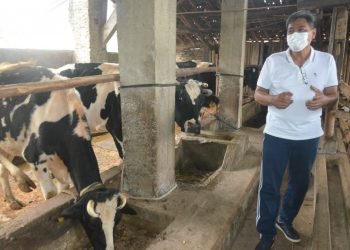 Program Kemitraan dan Digitalisasi Pacu Produktivitas Industri Olahan Susu