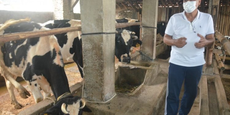 Program Kemitraan dan Digitalisasi Pacu Produktivitas Industri Olahan Susu