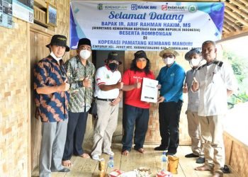 Jalin Kolaborasi dengan Local Heroes, KemenkopUKM Kembangkan Potensi Umbi Sente Pandeglang Lewat Koperasi