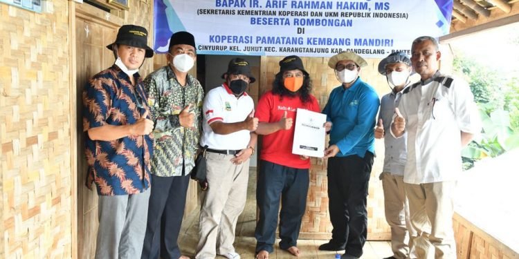 Jalin Kolaborasi dengan Local Heroes, KemenkopUKM Kembangkan Potensi Umbi Sente Pandeglang Lewat Koperasi