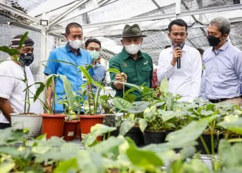 MenKopUKM Dukung Minaqu dan Koperasi Garap Potensi Pasar Tanaman Hias Dunia Sebesar Rp3.000 Triliun