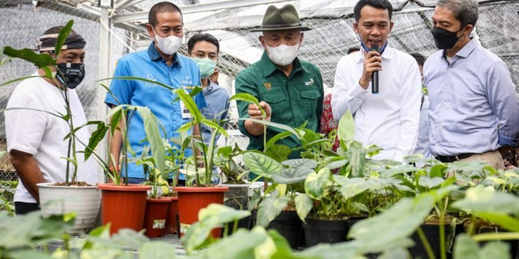 MenKopUKM Dukung Minaqu dan Koperasi Garap Potensi Pasar Tanaman Hias Dunia Sebesar Rp3.000 Triliun