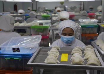 Lolos Audit Virtual, Eksportir SBW RI Kembali Masuk Pasar China