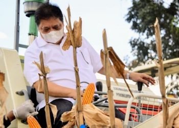 Dongkrak Kesejahteraan Masyarakat, Menko Airlangga Dorong Produktivitas Komoditas Unggulan Provinsi Gorontalo