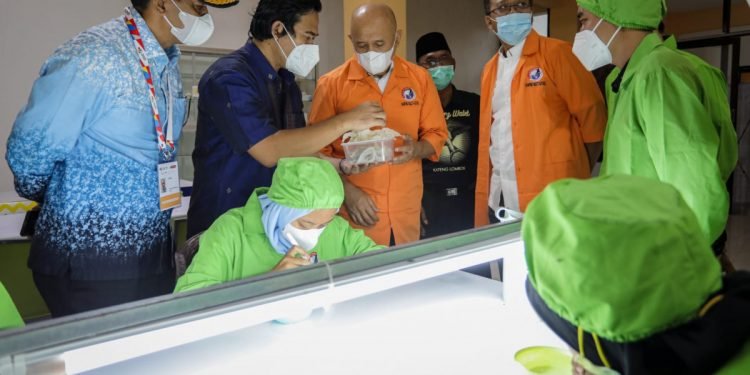 MenKopUKM Dukung Tingkatkan Produksi Sarang Burung Walet di NTB