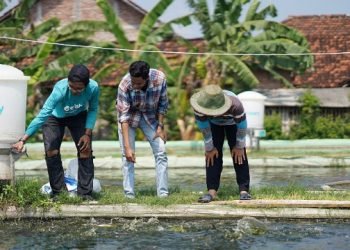 Ikut Mendukung Program Pembangunan Daerah, eFishery Ajak Karyawan “Pulang Kampung”
