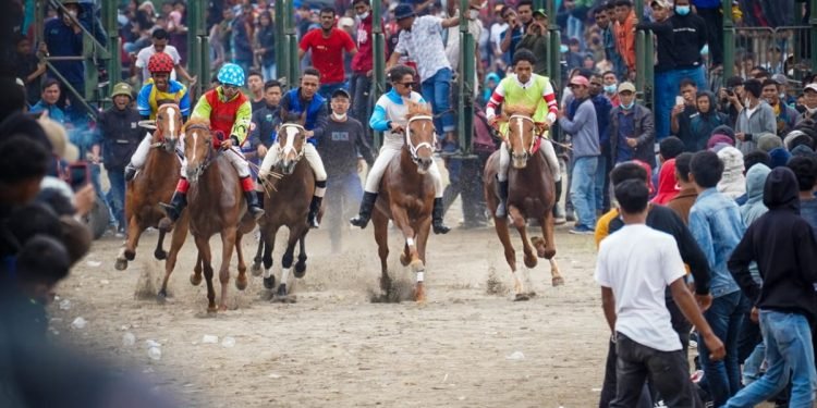Miliki Potensi Ekonomi bagi UMKM, MenKopUKM Sial Dorong Tradisi Pacu Kuda Khas Gayo