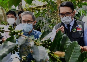 Lepas Ekspor Kopi, Koperasi Produsen Di Garut Buktikan Daya Saingnya