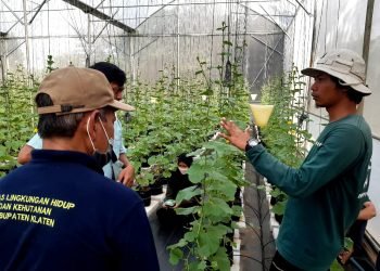 Kiprah Tiga Pendatang Baru Lembaga Inkubator LPDB-KUMKM Tahun 2022