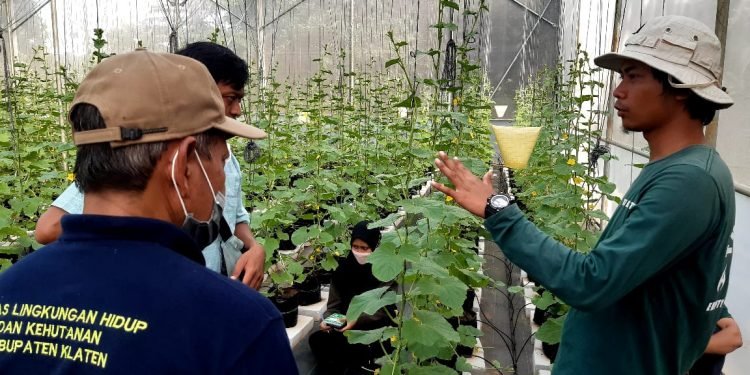 Kiprah Tiga Pendatang Baru Lembaga Inkubator LPDB-KUMKM Tahun 2022