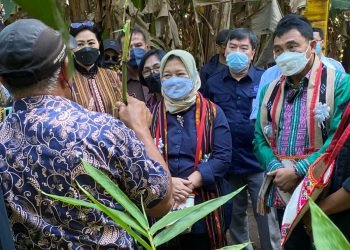 LPDB-KUMKM Dukung Pengembangan Ekosistem Bisnis Komoditas Bambu NTT Melalui Koperasi