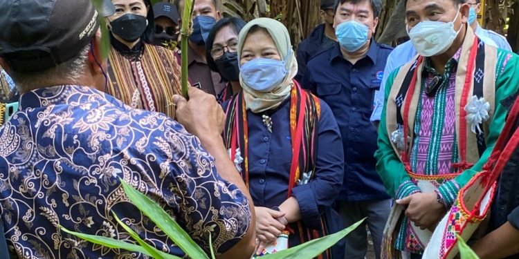 LPDB-KUMKM Dukung Pengembangan Ekosistem Bisnis Komoditas Bambu NTT Melalui Koperasi