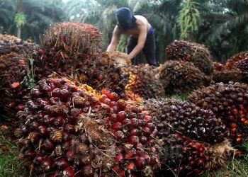 Kemenperin: Industri Pengolahan Sawit Berorientasi Ekspor dan Padat Karya