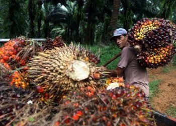 Industri Pengolahan Sawit Jadi Primadona, Ekspor Melejit Hingga  Serap Belasan Juta Tenaga Kerja