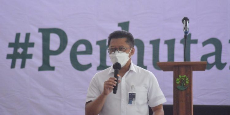 Songsong Penetapan KHDPK, Perhutani Optimalkan Bisnis & Sumber Daya Termasuk Karyawan