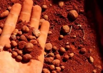 Menteri Bahli Beri Sinyal RI Bakal Setop Ekspor Timah dan Bauksit Tahun Ini