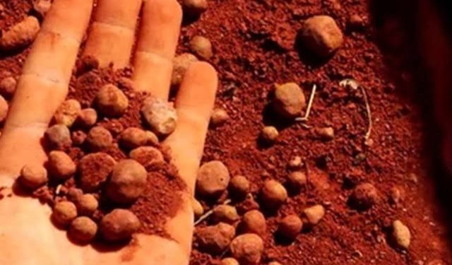 Menteri Bahli Beri Sinyal RI Bakal Setop Ekspor Timah dan Bauksit Tahun Ini