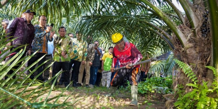 MenKopUKM Ajak Petani Sawit Serdang Berdagai Berkoperasi Bangun Pabrik Minyak Makan Merah