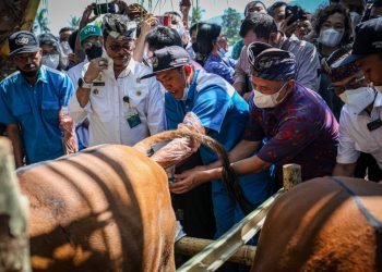 MenKopUKM Dukung Realisasi Reforma Agraria Melalui Korporatisasi Petani