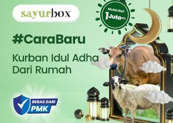 Jalin Kerja Sama dengan Dompet Dhuafa, Sayurbox Sediakan Hewan Kurban Bebas PMK