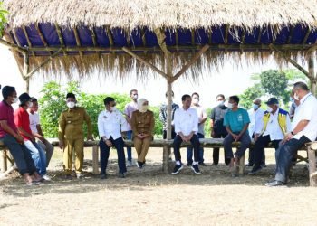 Presiden Jokowi Luncurkan Lumbung Pangan dan Taksi Alsintan di Gresik
