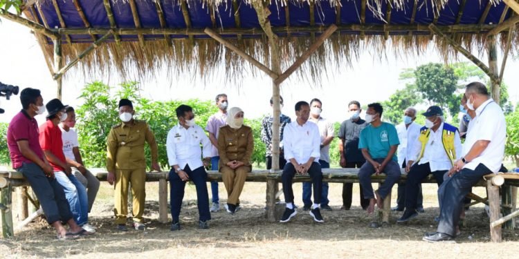 Presiden Jokowi Luncurkan Lumbung Pangan dan Taksi Alsintan di Gresik