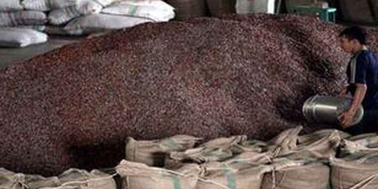 Kemenperin: Ekspor Lampaui USD1 Miliar, Kinerja Industri Pengolahan Kakao Semakin Manis