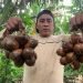 Teknologi Balai Kemenperin Tingkatkan Nilai Tambah Komoditas Salak