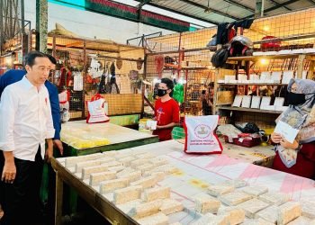 Jelang Nataru, Presiden Cek Harga di Pasar Cigombong