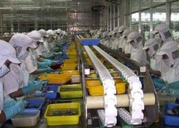 Tumbuh Lampaui 5 Persen, Industri Manufaktur Berjasa Besar Katrol Kinerja Ekonomi