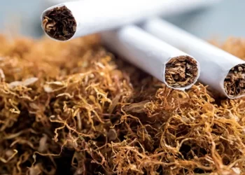 Lembaga Demografi UI: Indonesia Masih Perlu Belajar dari Negara Lain dalam Hal Pengendalian Tembakau