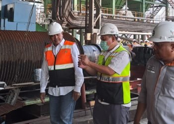 RI Sukses Bangun Industri Gula Terintegrasi di Lahan Rawa