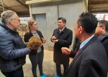 Topang Produksi Industri Olahan Susu, Kemenperin: RI-Belanda Siap Kerja Sama