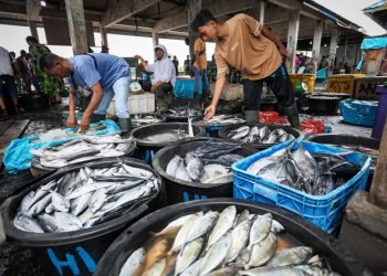 Menteri Teten Bakal Percepat Pembangunan SPBU Nelayan