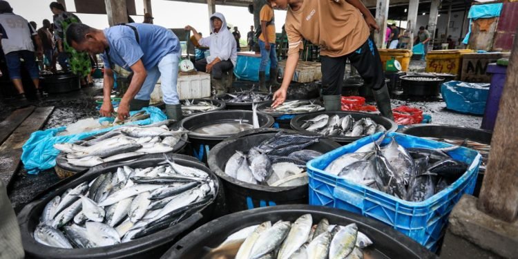 Menteri Teten Bakal Percepat Pembangunan SPBU Nelayan