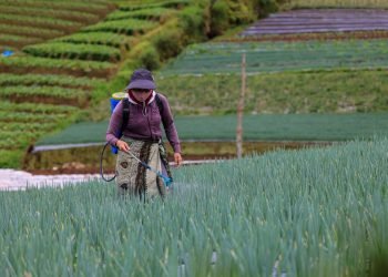 KemenKopUKM Ajak Nelayan dan Petani Berkoperasi Tingkatkan Skala Ekonomi