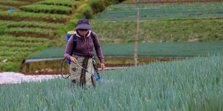 KemenKopUKM Ajak Nelayan dan Petani Berkoperasi Tingkatkan Skala Ekonomi