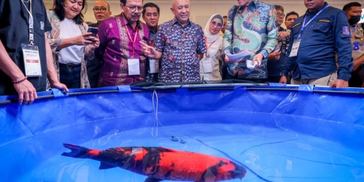 Menteri Teten Bakal Dorong RI jadi Pusat Ikan Tropik Dunia