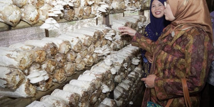 Dukung Hilirisasi, Kemenperin Tumbuhkan IKM Olahan Jamur Tiram